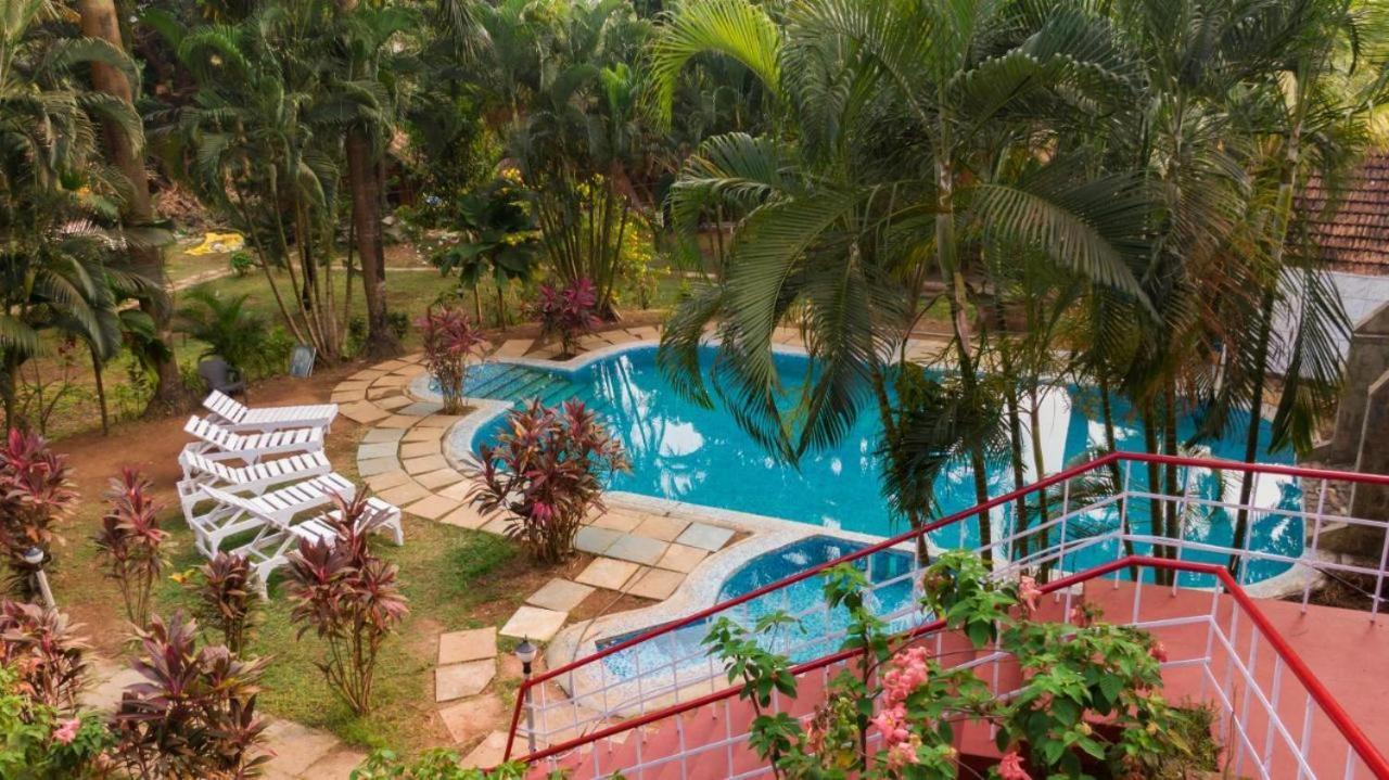 Tropical Valley Resort Morjim Exterior photo